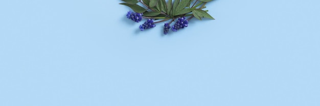 Mooie banner achtergrond met muscari bloemen en bladeren plat lag op een blauwe achtergrond bovenaanzicht