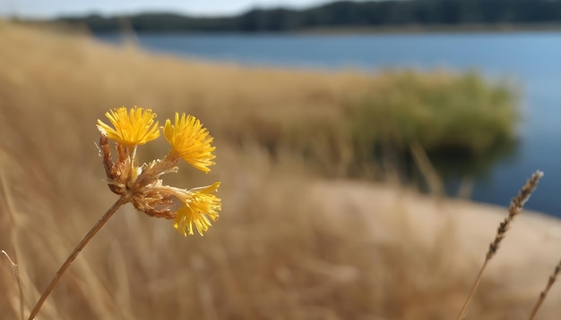 Mooie beelden van de natuur AI