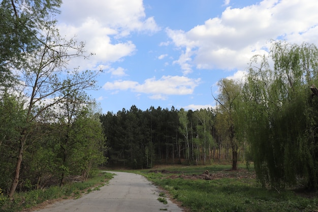 mooie blauwe lucht met witte pluizige wolken op een zonnige dag boven het bos