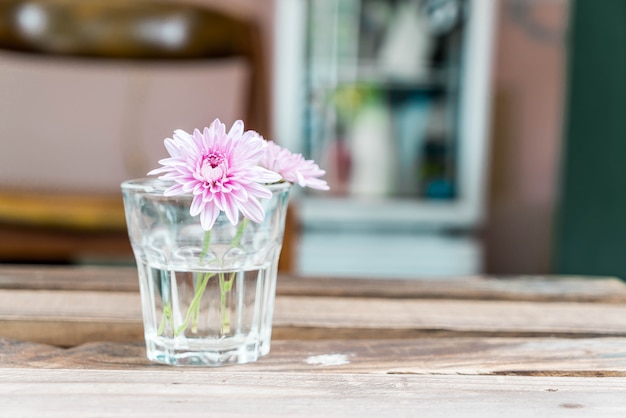 mooie bloem in glas