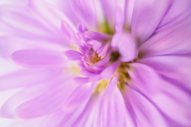 Mooie bloemen close-up abstracte achtergrond