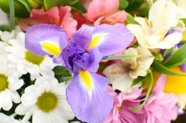 Mooie bloemen close-up