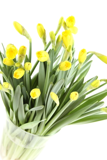 Mooie bloemen gele narcissen. boeket close-up