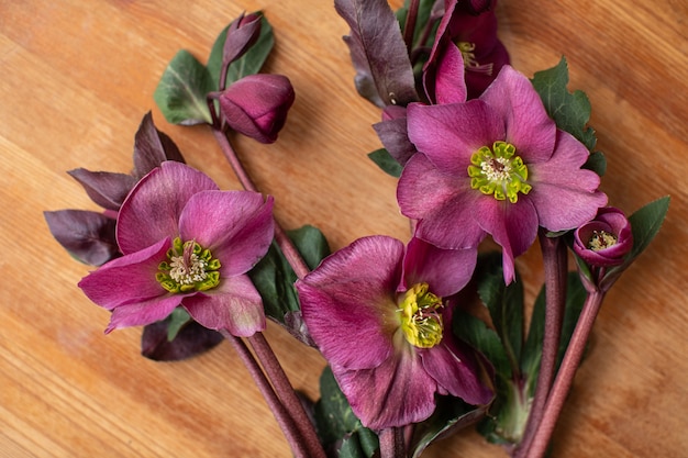 Mooie bloemen. Het werk van de bloemist. Bloemen levering.