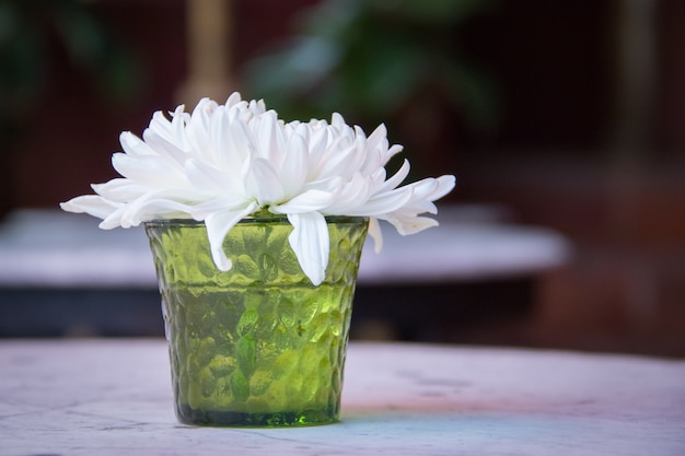 Foto mooie bloemen in vaas op houten tafel