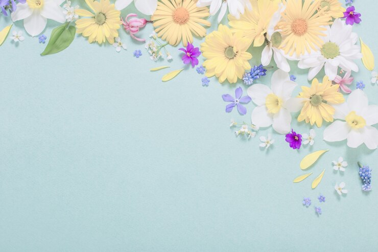 Mooie bloemen op blauw papier oppervlak