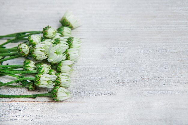 Mooie bloemen op houten achtergrond, voorjaar concept