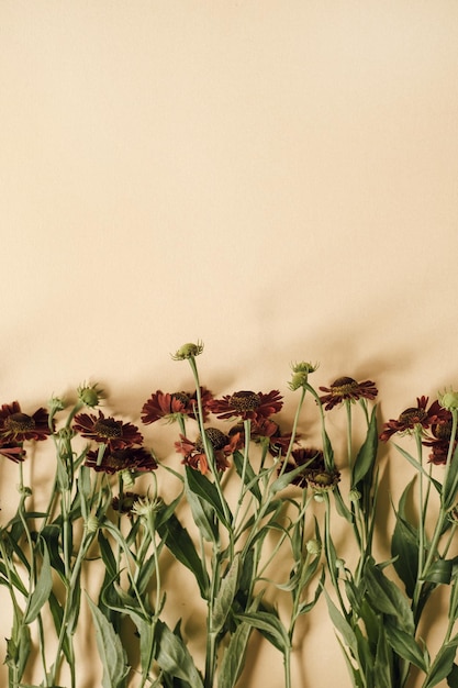 Mooie bloemen op neutrale gele perzikkleurige achtergrond Minimalistische bloemsamenstelling Valentijnsdag Moederdag vakantieconcept