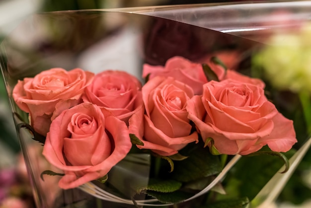 Mooie bloemen van roos voor boeket close-up