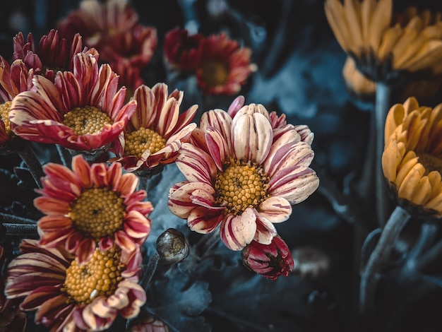 Mooie bloemen voor de achtergrond.