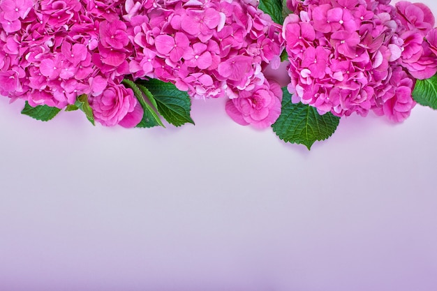 Mooie bloemenachtergrond en groene bladeren, textuur, behang. Plat-laypink hortensia op roze achtergrond,