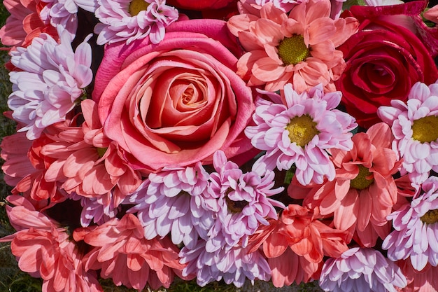 Mooie bloemenachtergrond. ð¡hrysanthemum, asterbloemen en roze roos.