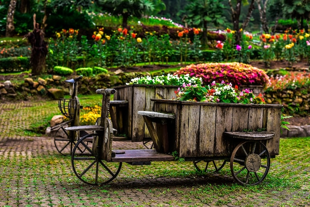 Foto mooie bloementuin in de houten fietsen.