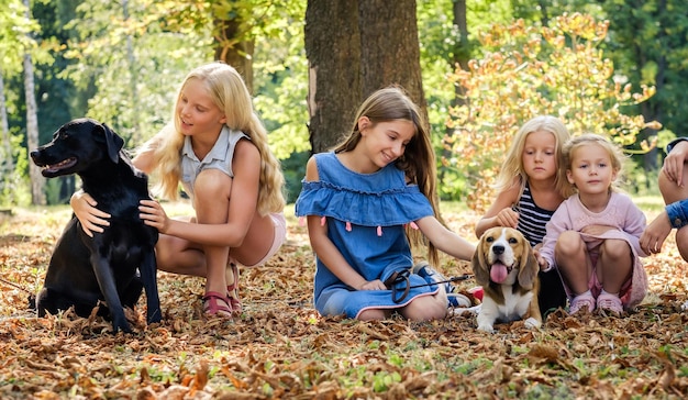 Mooie blonde meisjes zitten samen met retriever en beagle honden in een zonnig herfstpark