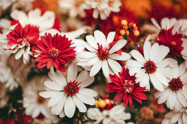 Mooie boeket close-up zachte lente of zomer bloemen achtergrond