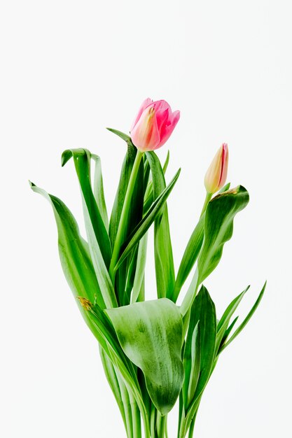 Mooie boeket tulpen