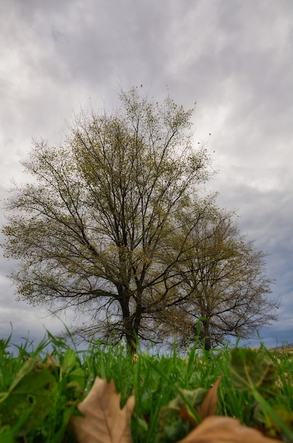 Mooie bomen met herfstkleuren.