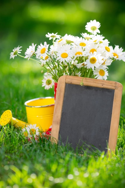 Mooie bos lentebloemen en schoolbord blanco in gras