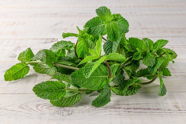 Mooie bos verse groene munt op een witte houten ondergrond met natuurlijke schaduw