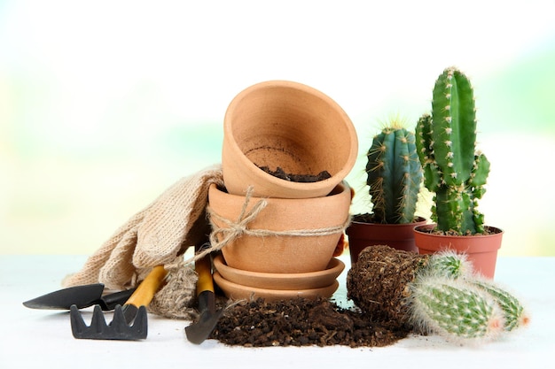 Mooie cactussen lege bloempotten en grond close-up