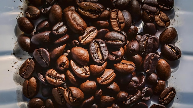 Mooie close-up opname van bruine verse zwarte koffiebonen