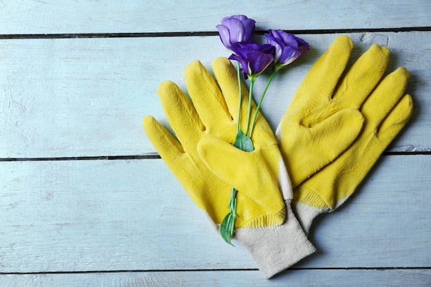 Mooie compositie van bloesem en tuinmanhandschoenen op lichtblauwe houten ondergrond