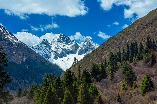 Mooie de bergmening van de landschapssneeuw van Dagu-Gletsjer Nationaal park, Chengdu, China