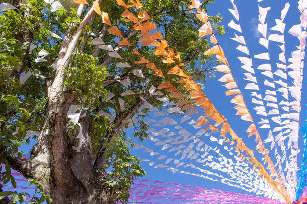 Mooie en kleurrijke festa junina-vlaggen naast een boom