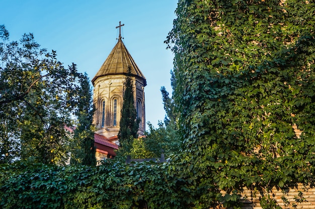 Mooie en oude stad van Tbilisi