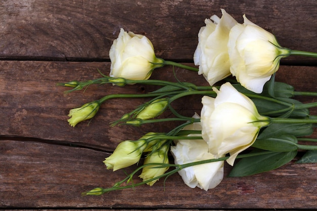 Mooie eustoma op houten achtergrond