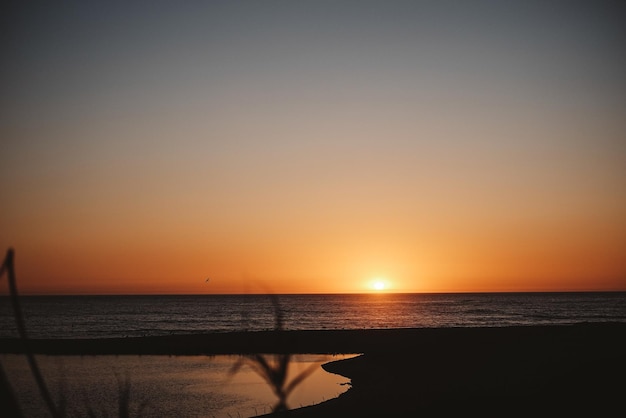 Mooie foto van een strand bij een stralende zonsondergang achter wazige planten