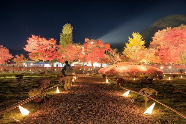 Mooie gang verlicht in Esdoorntuin Traditioneel festival in Kawaguchiko