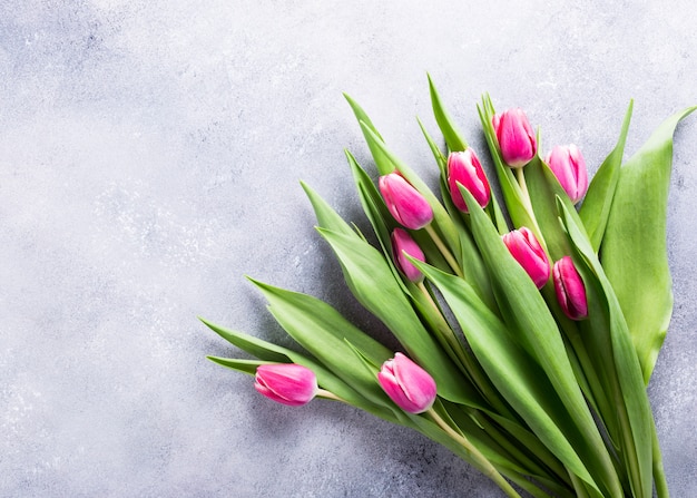 Mooie geel roze tulpen