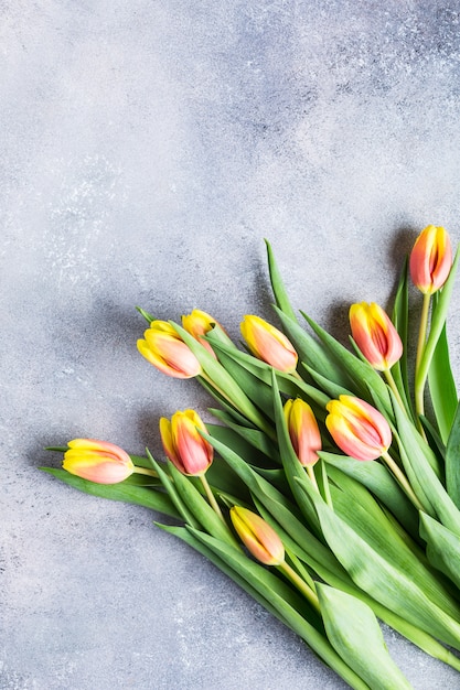 Mooie geeloranje tulpen