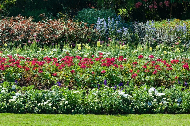 Mooie gekleurde bloemen in park Aziatische stijl voor achtergrond