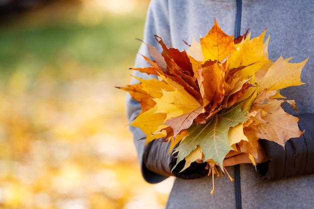 Mooie gele esdoorn krans in handen van de vrouw Meisje met herfstbladeren Herfst en lifestyle concept