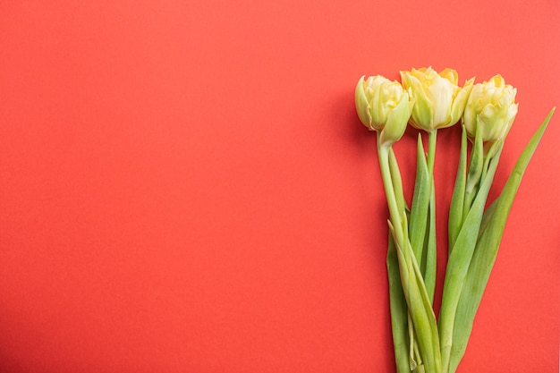 Mooie gele tulpen op veelkleurige papieren achtergronden met kopie ruimte. Lente, zomer, bloemen, kleurenconcept, Vrouwendag.