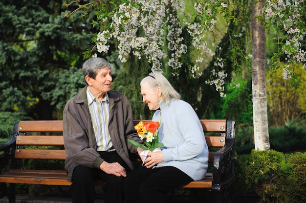 Mooie gelukkige oude mensen zitten in de herfst park.