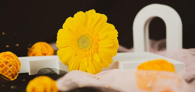 Mooie Gerbera bloem Een gele bloem op zwarte achtergrond met decor