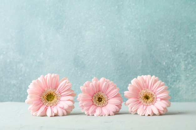 Mooie gerbera's op witte tafel tegen een grijze achtergrond, ruimte voor tekst