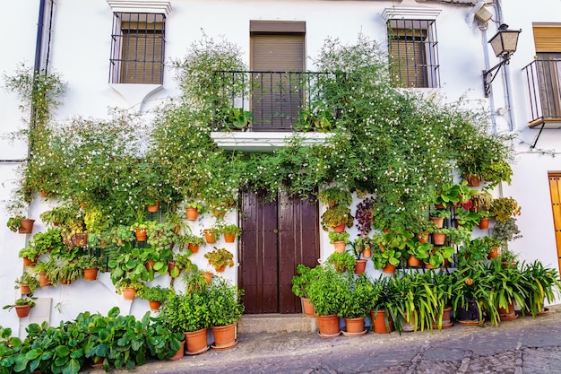 Mooie gevel van witte huizen versierd met groene planten en bloemen in kleipotten Cadiz Spanje