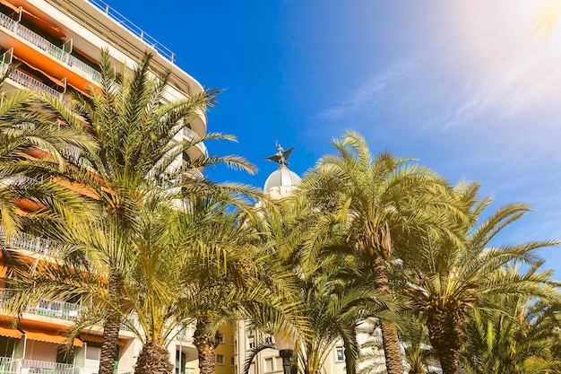 Mooie gevels en palmbomen in Alicante, Comunidad Valenciana, Spanje - de architectuur van een Europese stad.