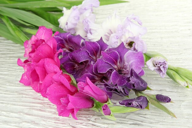 Mooie gladiolenbloem close-up