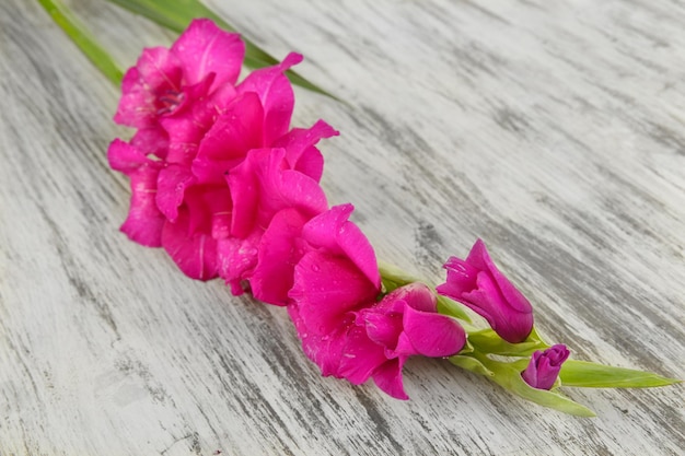 Mooie gladiolenbloem op houten achtergrond