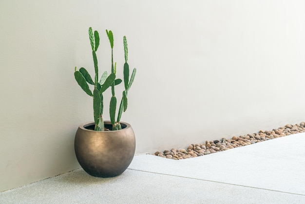 mooie gouden vaas met cactus en kopieerruimte