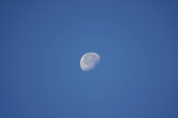 Mooie halve maan op blauwe hemel in ochtenddag