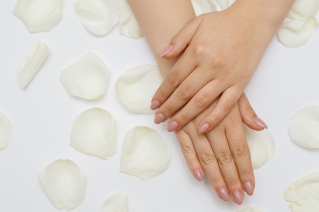 Mooie handen met manicure en witte rozenblaadjes