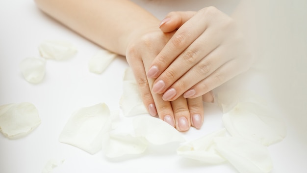 Mooie handen met manicure en witte rozenblaadjes