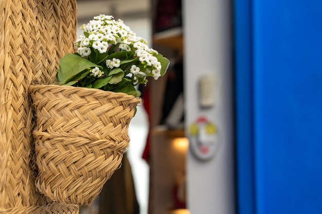 Mooie hangende bloempot met witte bloemen aan de muur met blauwe deuren op de achtergrond