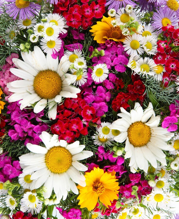 Foto mooie heldere bloemen close-up